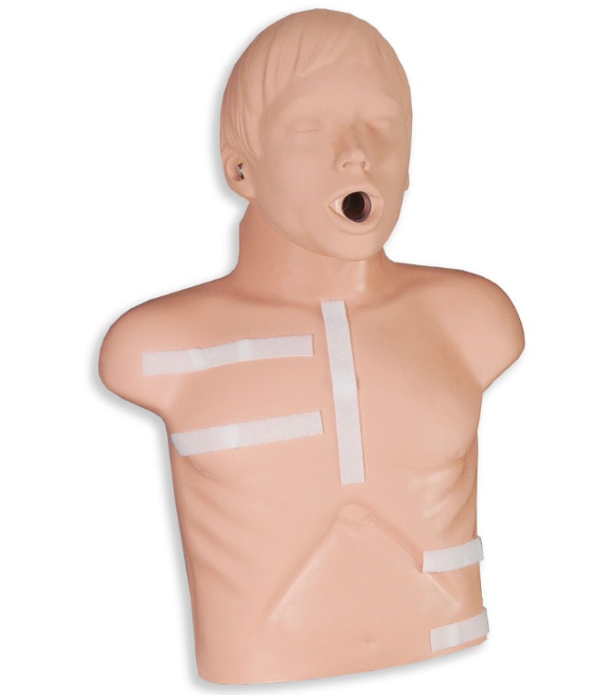 Zoll CPR-D Demo Manikin